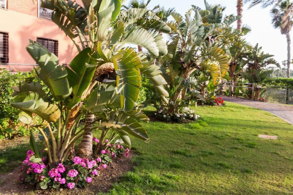 Pushe Playa Granada Beach&Golf 1 モトリル エクステリア 写真